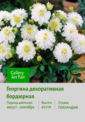  Gallery_Art_Fair