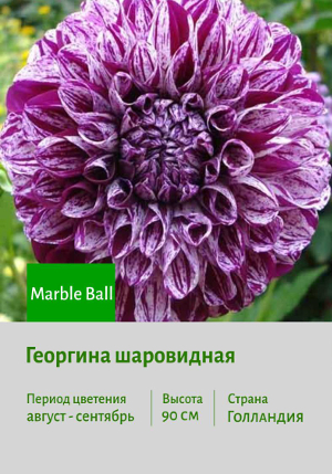  Marble_Ball