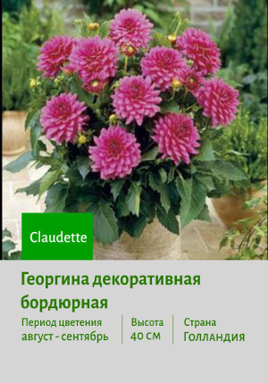 �������� Claudette