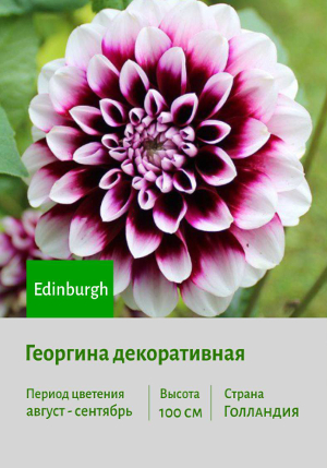 �������� Edinburgh