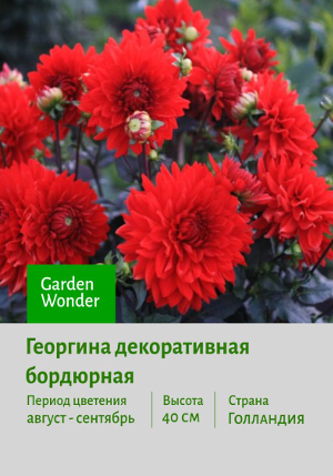 �������� Garden_Wonder