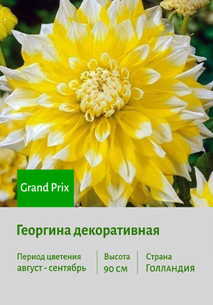 �������� Grand_Prix