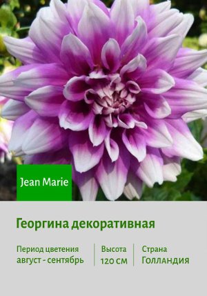 �������� Jean_Marie