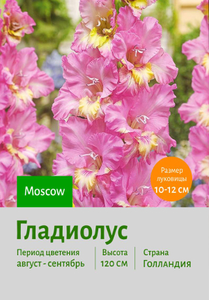 ��������� Moscow