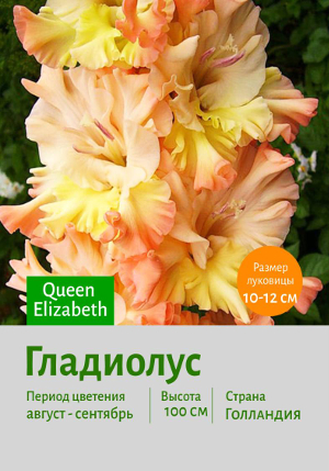 ��������� Queen_Elizabeth