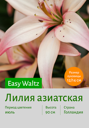  Easy_Waltz