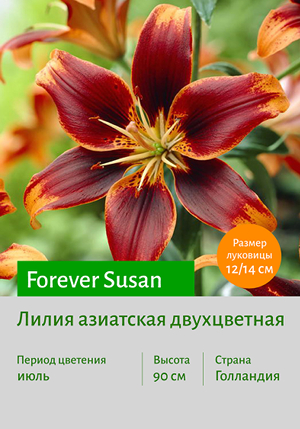  Forever Susan