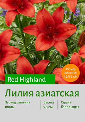  Red_Highland