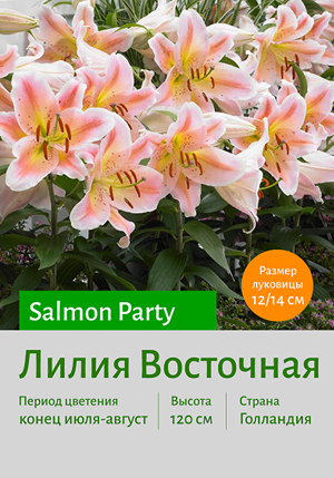  Salmon_Party