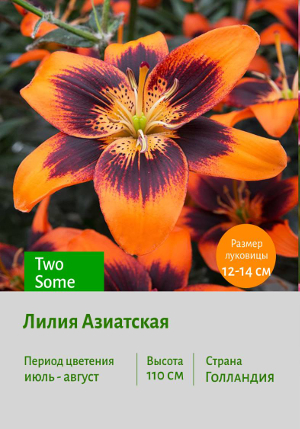����� Two_Some