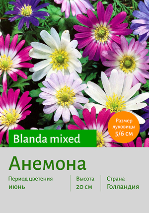  Blanda_mixed