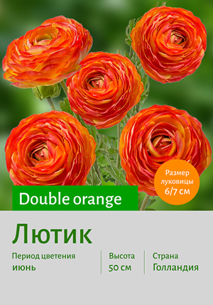  Double_orange