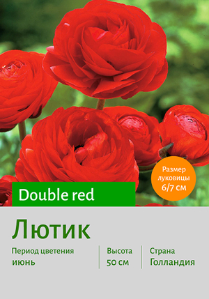  Double_red