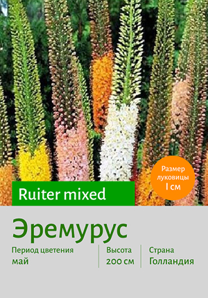  Ruiter_mixed