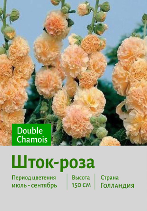 ����-���� Double_Chamois