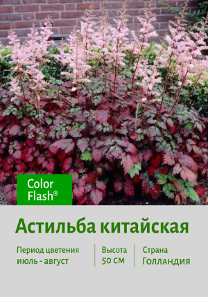 �������� ������� Color Flash