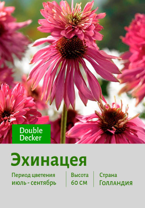 �������� Double_Decker