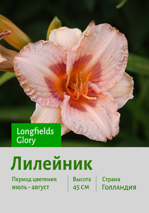 �������� Longfields_Glory