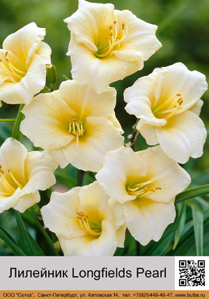 �������� Longfields_Pearl.htm 