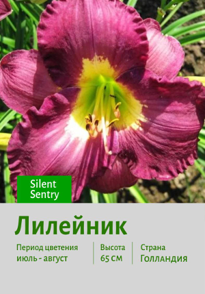 �������� Silent_Sentry