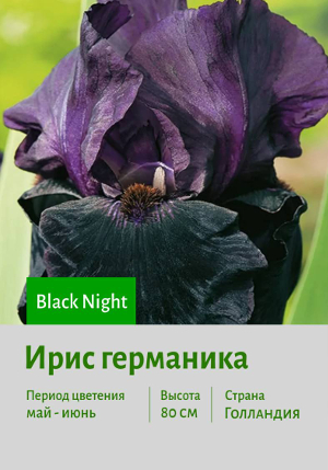 ���� ��������� Black_Night