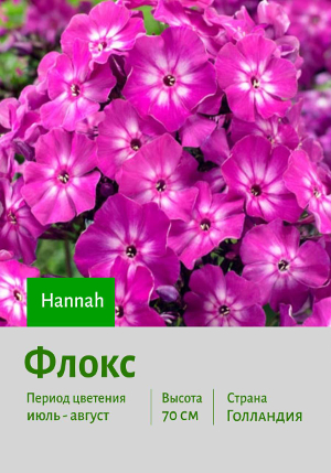 ����� Hannah