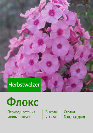 ����� Herbstwalzer