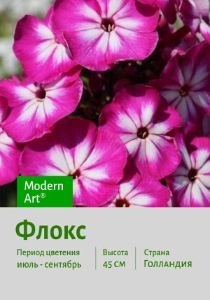 ����� Modern_Art