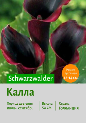 ����� Schwarzwalder